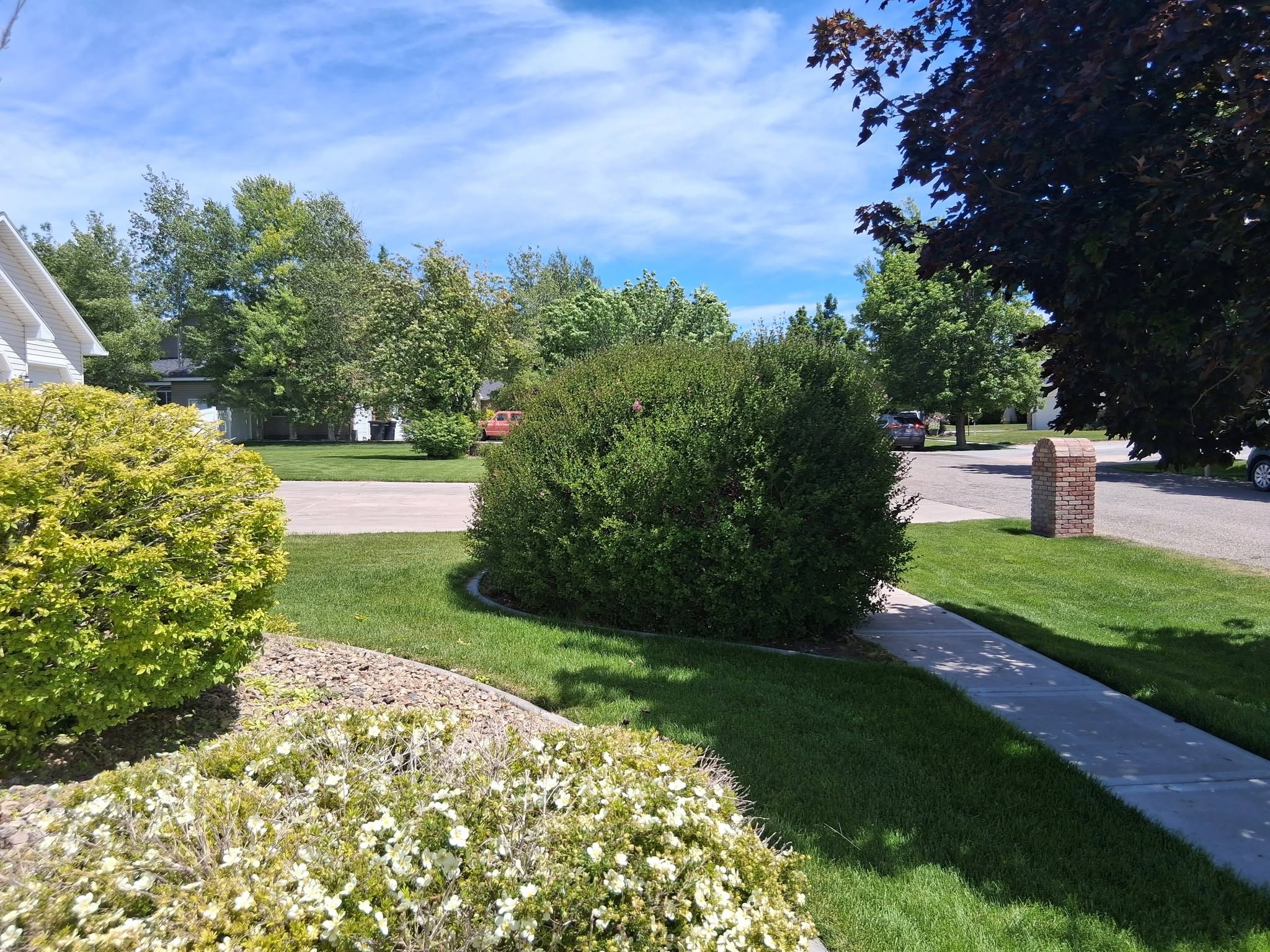 Freshly maintained lawn by Enrique Landscape