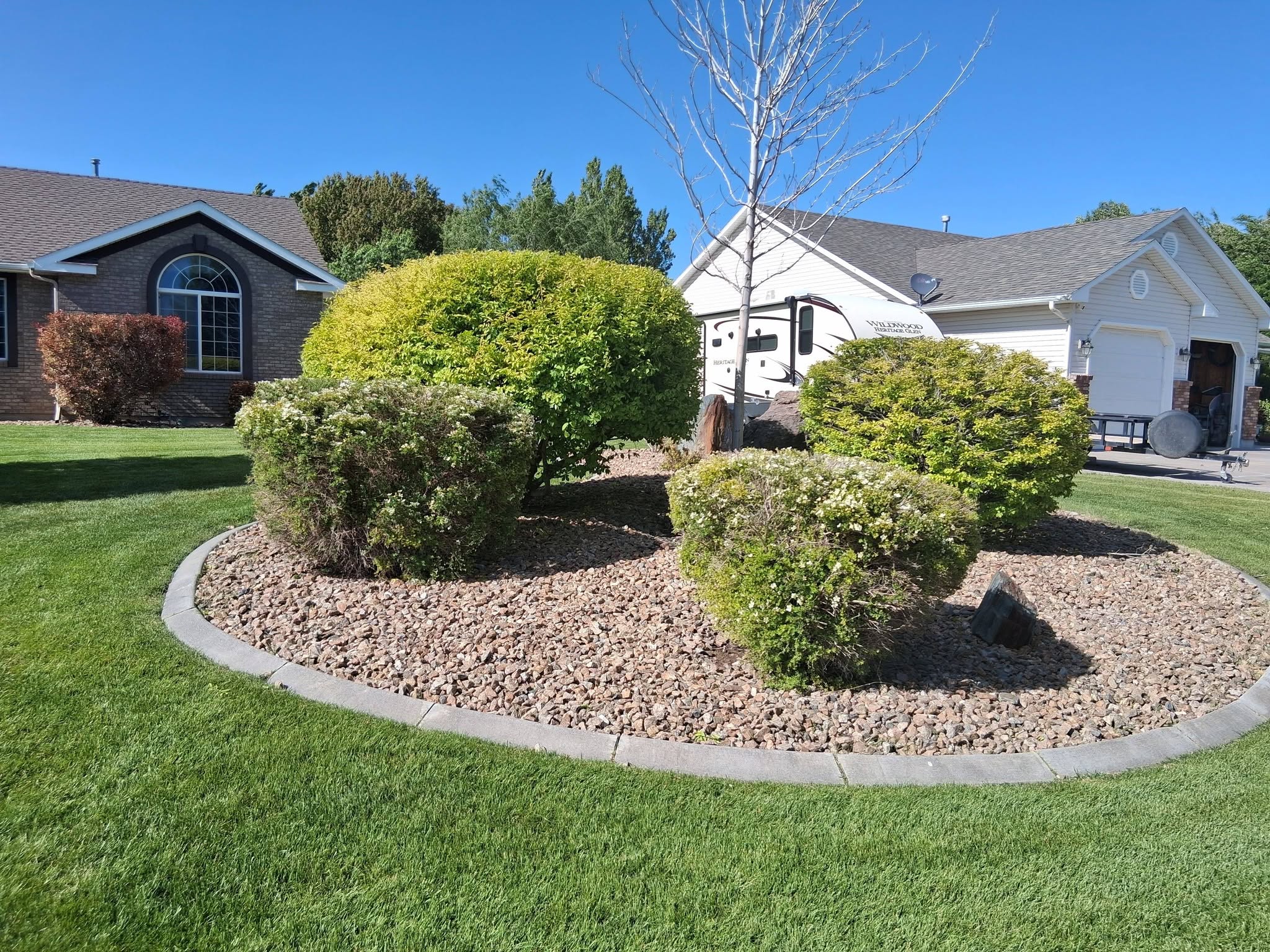 Seasonal yard clean-up result
