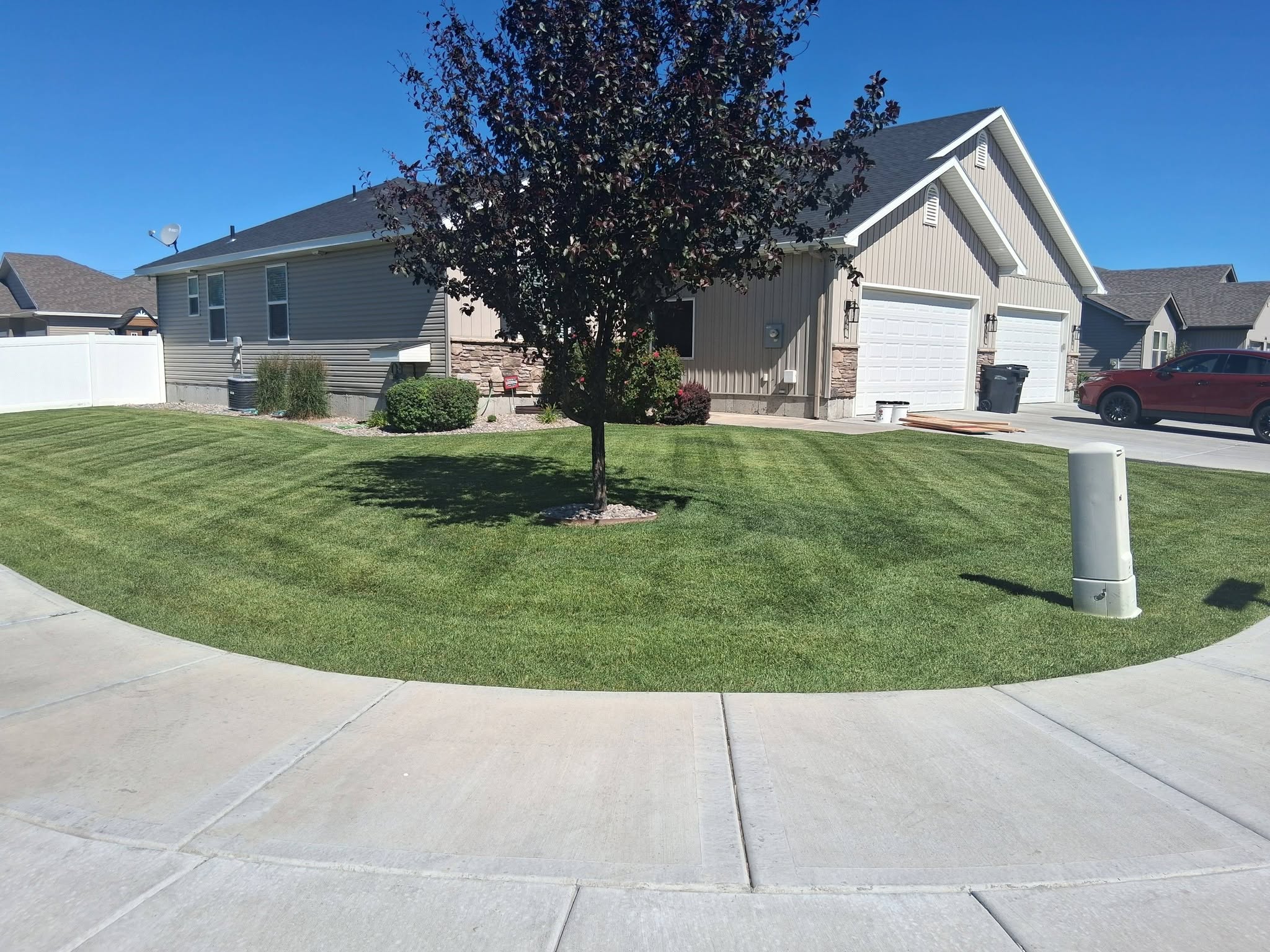 Professionally trimmed bushes and hedges