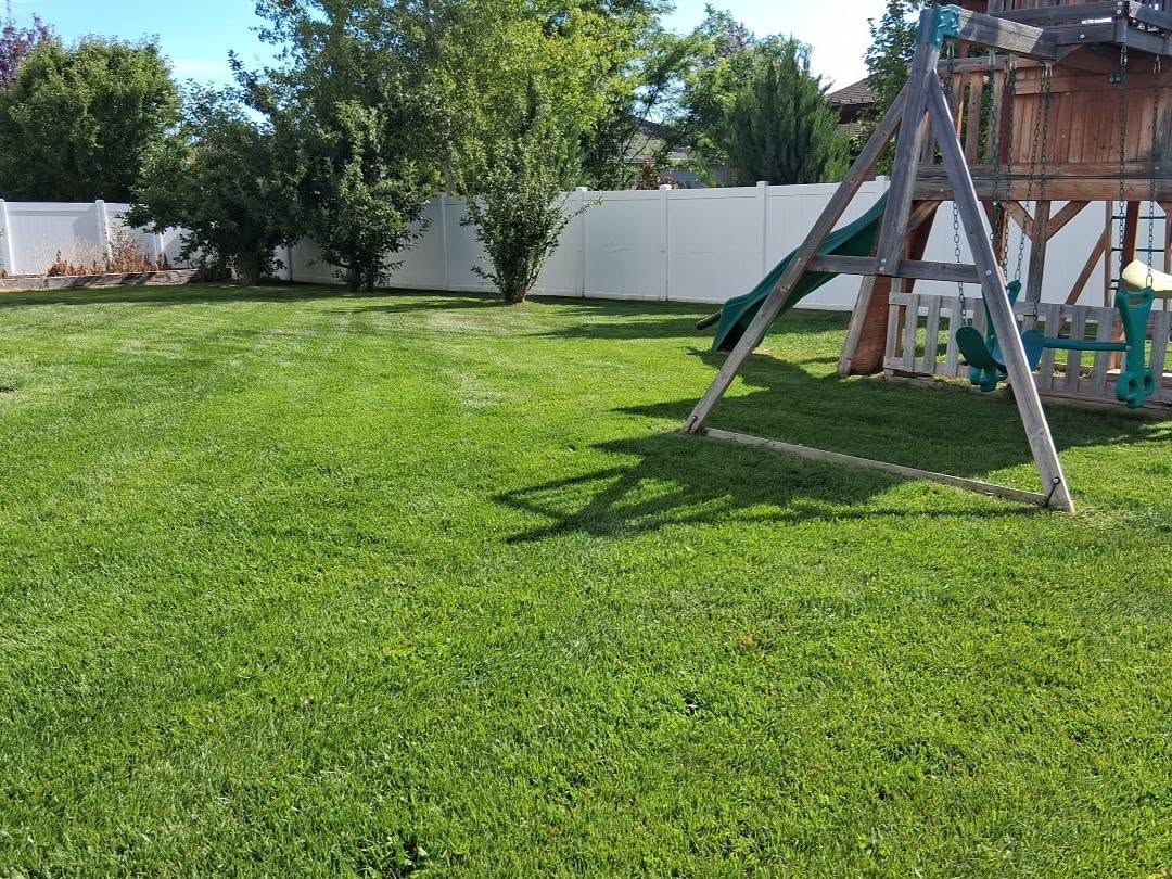 Well-maintained green lawn